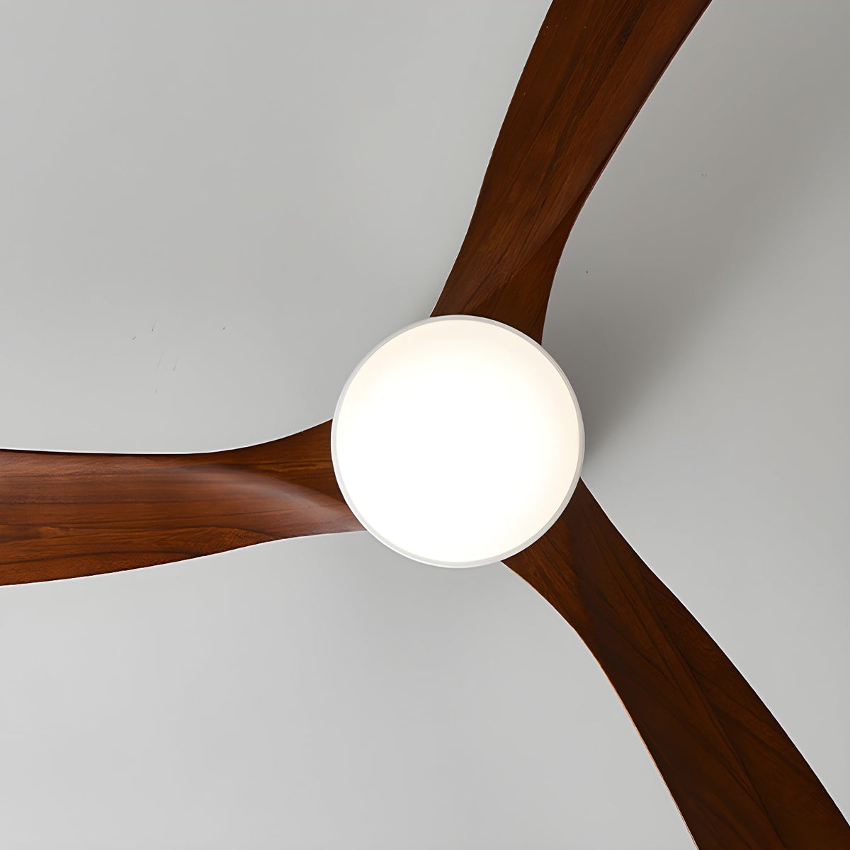 Miroise ventilatore da soffitto con luce