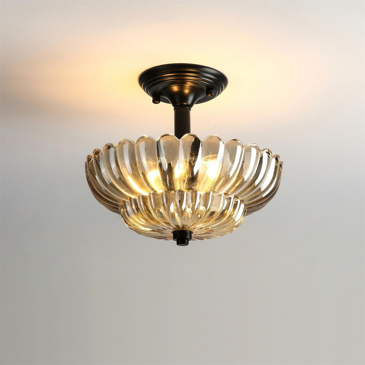 Ciruel lampada da soffitto
