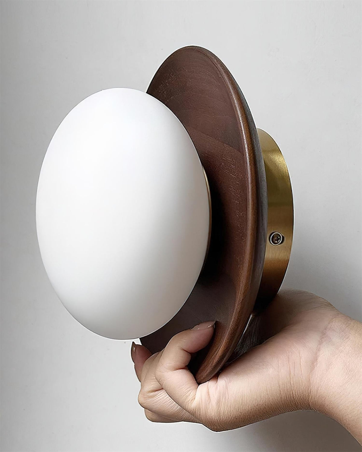 Avenoreria lampada da soffitto
