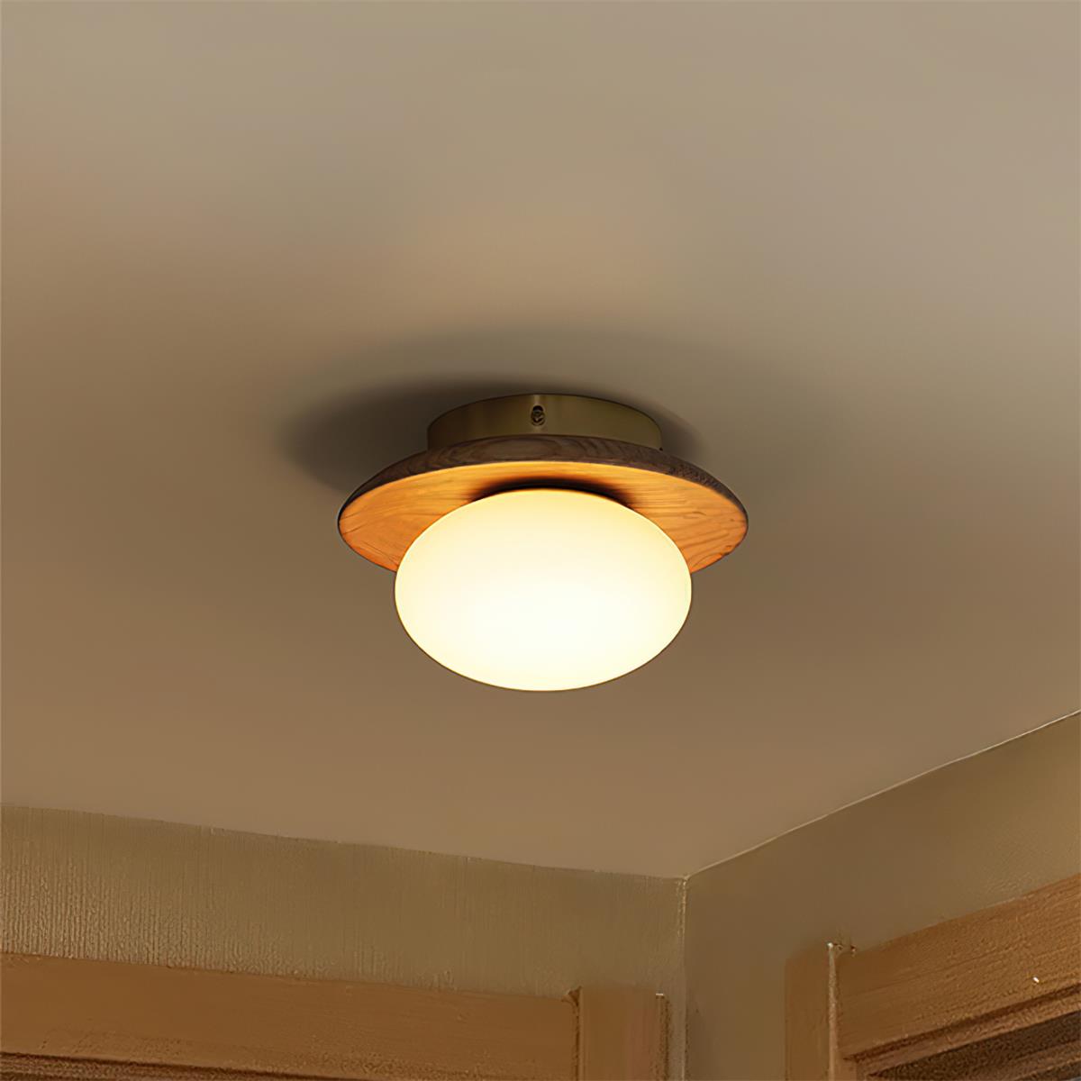 Avenoreria lampada da soffitto