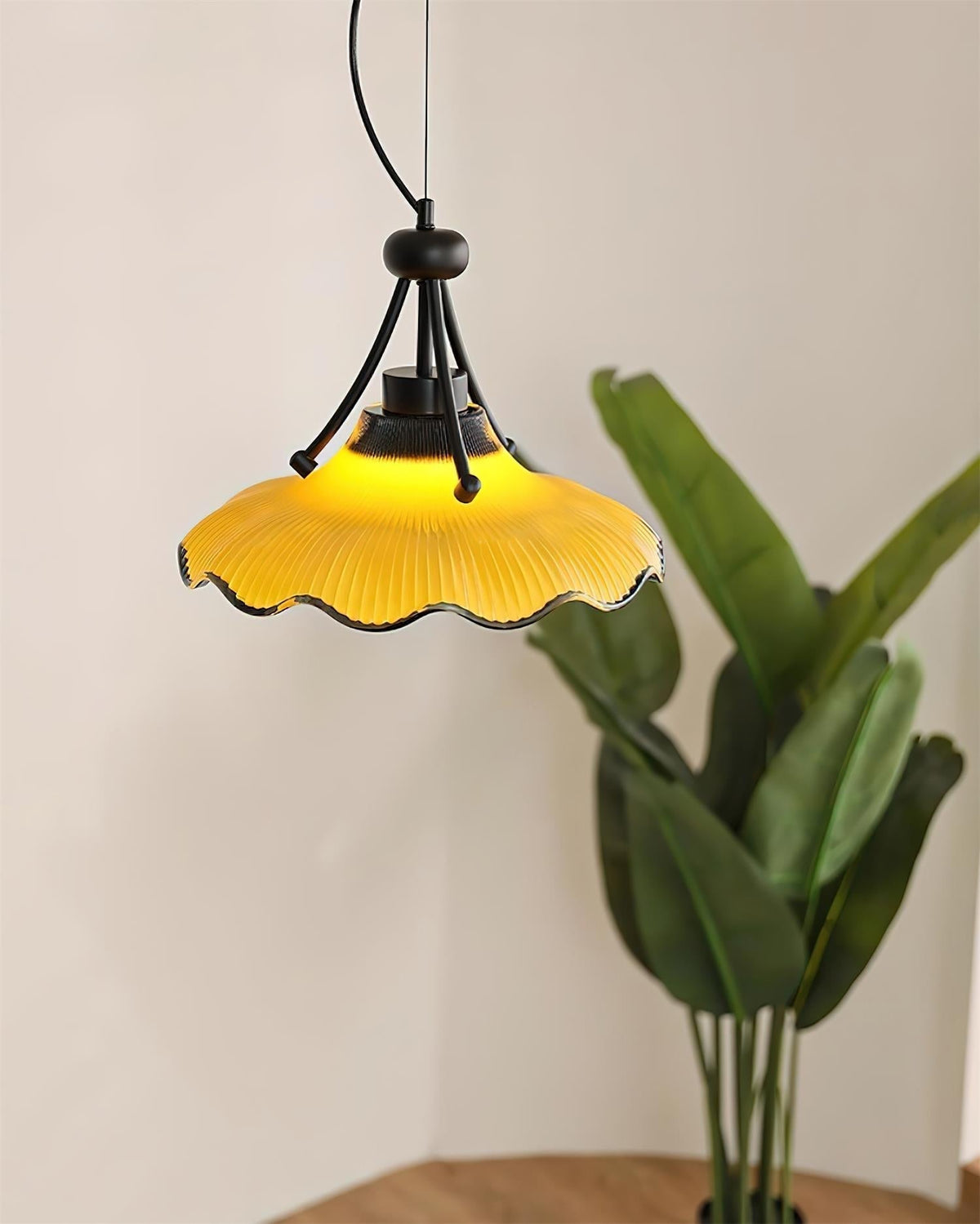 Vitrina lampada a sospensione